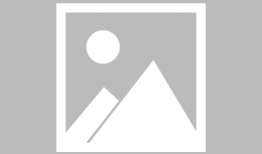 妻  动漫,动漫中的爱情与成长之旅