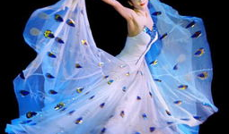 孔雀舞视频,探寻民族风情